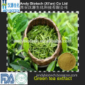 Bulk buy from China green tea catechins